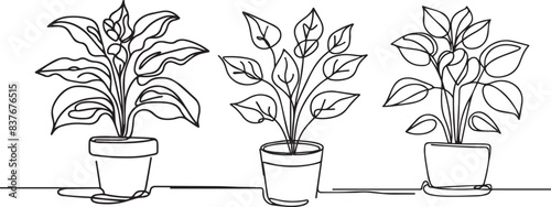 Continuous one line drawing of house plant in a pot. House plant or flower in a pot single outline vector illustration. Editable stroke.