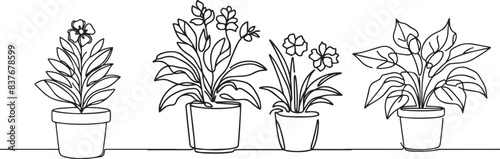 Continuous one line drawing of house plant in a pot. House plant or flower in a pot single outline vector illustration. Editable stroke.
