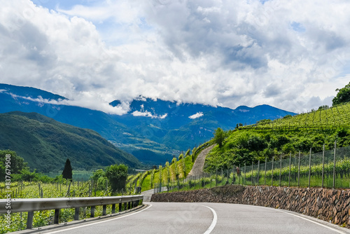 Kaltern, Caldaro, Tramin, Weinstrasse, Kalterer See, See, Lago di Caldaro, Weinberge, Weinbauer, Wanderweg, Spazierweg, Südtirol, Etschtal, Etsch, Überetsch, Frühling, Sommer, Italien photo