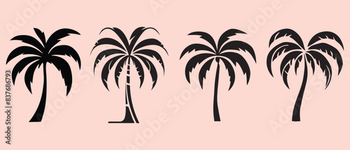 palm tree silhouette vector illustration