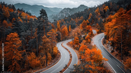  A bird's-eye perspective of a meandering road flanked by trees with vibrant orange and yellow leaves Beyond, a distant mountain range lies ahead photo