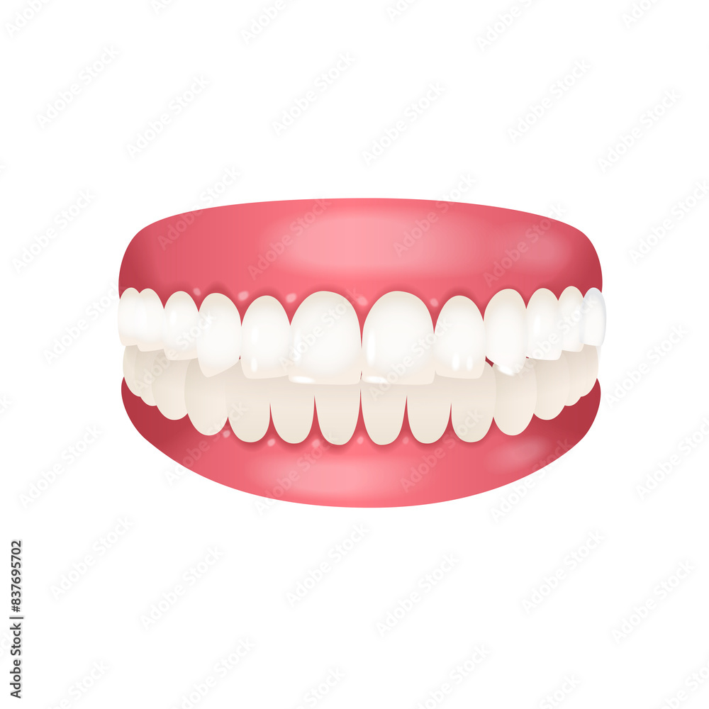 Fototapeta premium teeth , Mouth, tooth