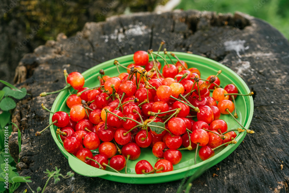 tasty red cherries summer waits eat it tasty red cherries summer waits eat it