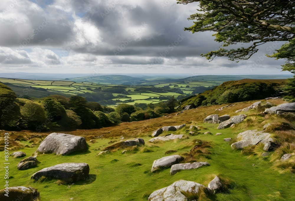 Obraz premium A view of Dartmoor National Park in Devon