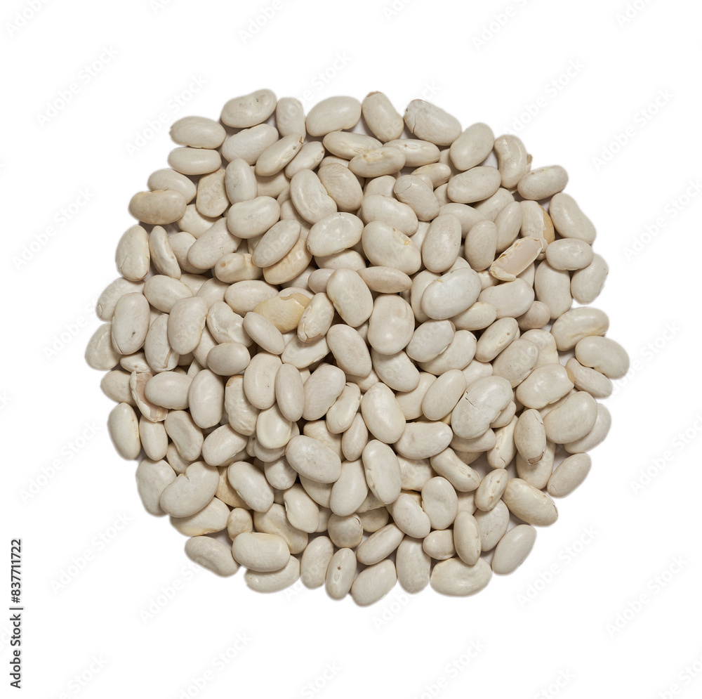 top view flat lay raw white bean isolated on white background top view flat lay raw white bean isolated on white background