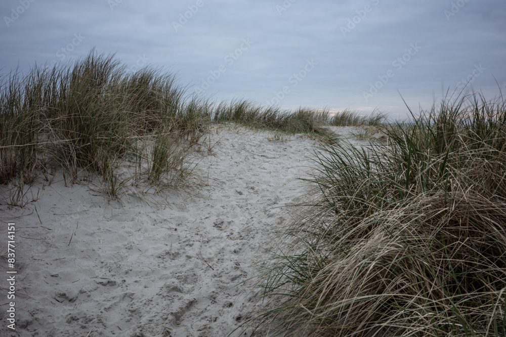 landscape of dunes on the North Sea in Germany landscape of dunes on the North Sea in Germany