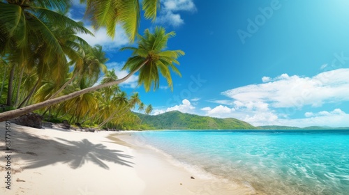 Beautiful tropical ocean with blue sky and palm trees in summer