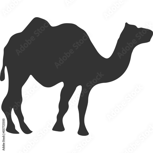 Camel Animal Silhouette