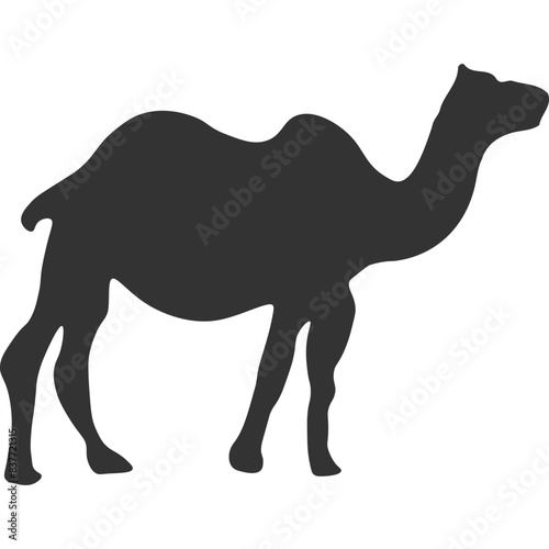 Camel Animal Silhouette