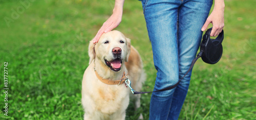 Obraz na plátne Owner woman walking with Golden Retriever dog on leash in summer park