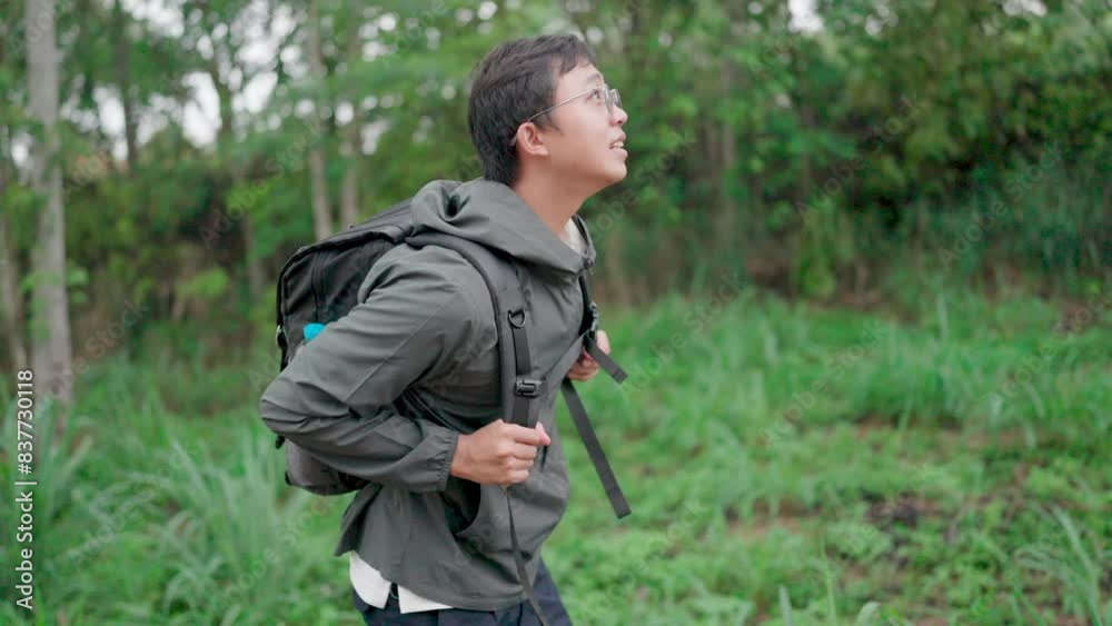 A man treks with determination through tall trees in a tropical forest. Male traveler hiking with hiking backpack Discover the forest and enjoy nature A man treks with determination through tall trees in a tropical forest. Male traveler hiking with hiking backpack Discover the forest and enjoy nature
