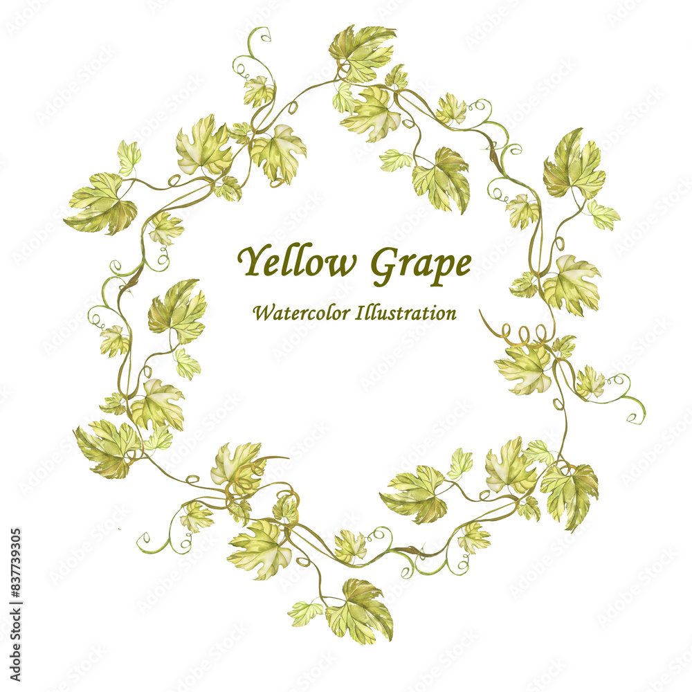 Grape Vine Frame Wreath with Green Leaves. Watercolor illustration. For Menus, Recipes, Wine and Juice Labels, Business Cards, Postcards, Invitations Grape Vine Frame Wreath with Green Leaves. Watercolor illustration. For Menus, Recipes, Wine and Juice Labels, Business Cards, Postcards, Invitations