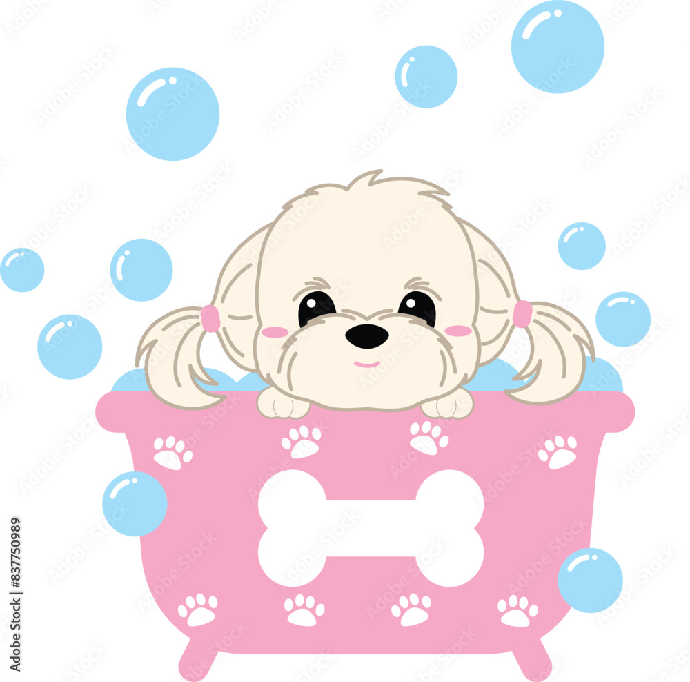 Fototapeta premium Shizu dog in bath tub