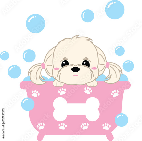 Shizu dog in bath tub photo