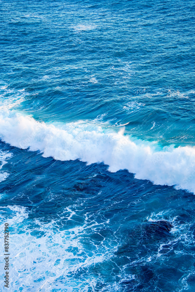 Fototapeta premium The coast of the region sea