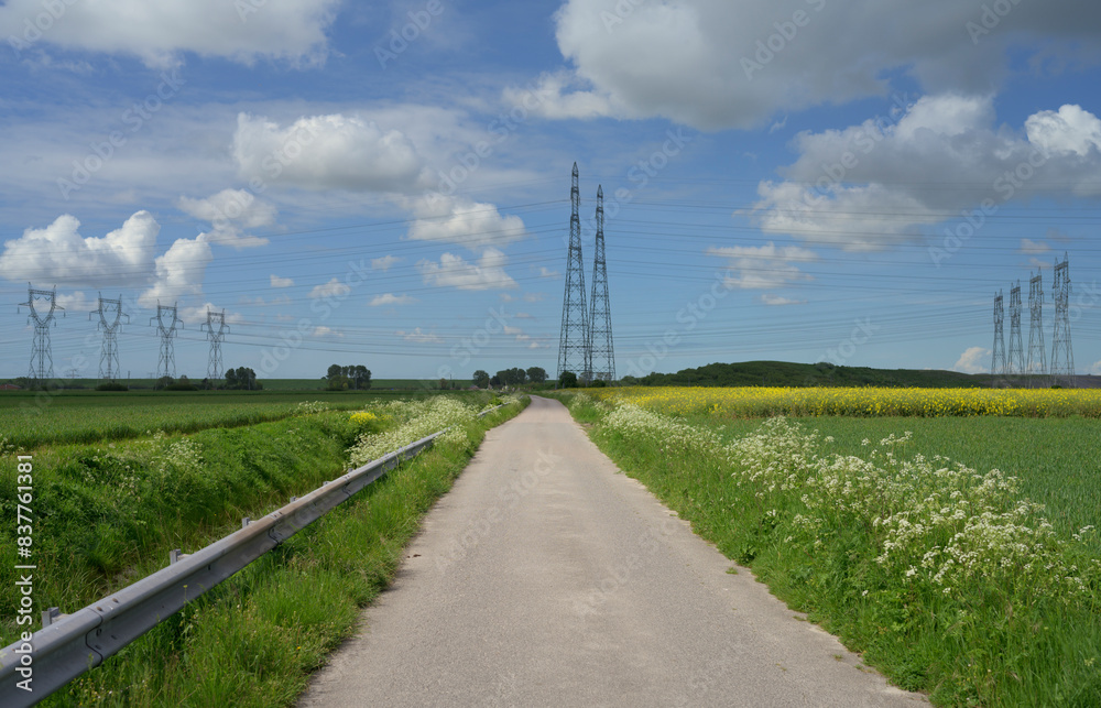 Country road in spring with electricity pylons in background Country road in spring with electricity pylons in background