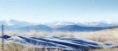 Grass blankets the terrain with a scenic backdrop of snowy mountains, creating a serene copy space image. photo