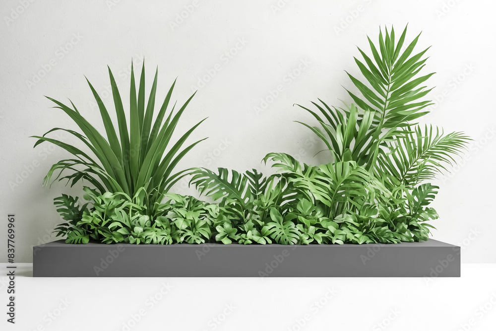 Lush Greenery in a Modern Minimalist Setting Lush Greenery in a Modern Minimalist Setting