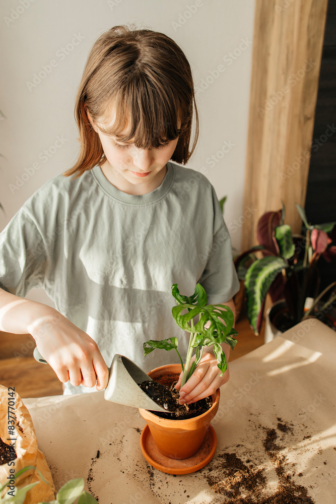 © Westend61 - Girl planting sapling of monstera in pot at home © Westend61 - Girl planting sapling of monstera in pot at home