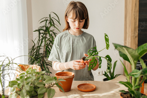 Girl planting monstera plant in pot at home