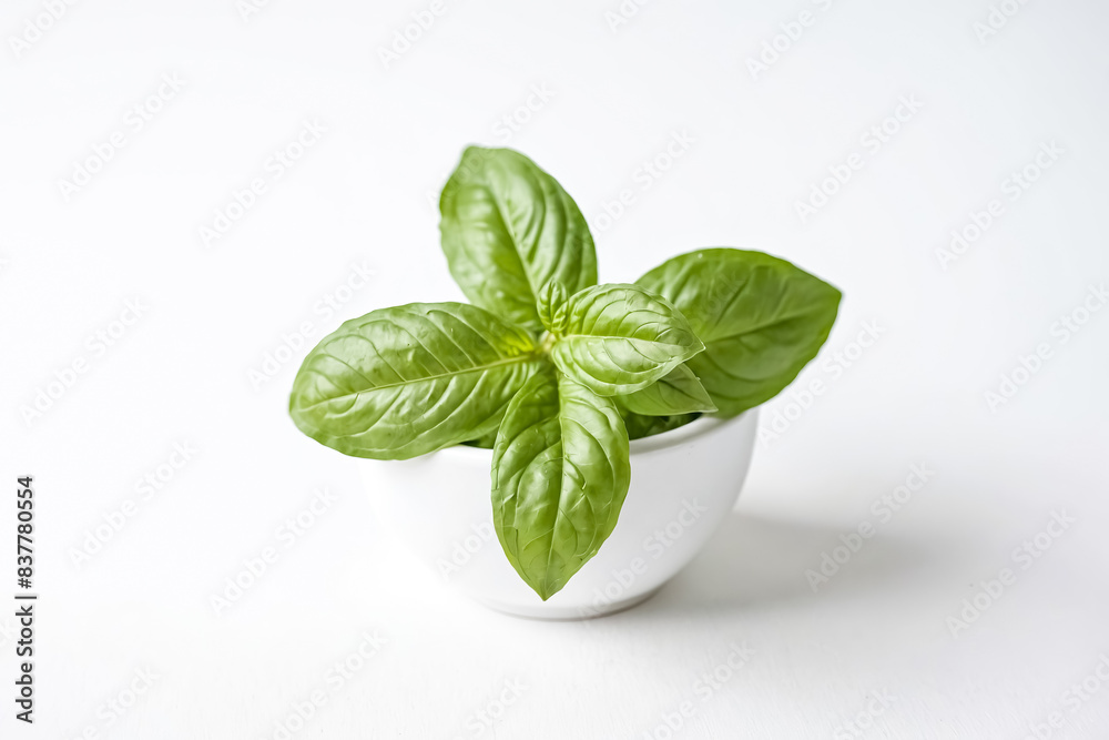 Fresh Basil Leaves in White Bowl on White Background