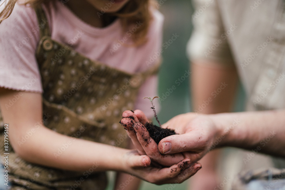 Obraz premium Fater and girl with seedling in palm, working together in garden, planting seedlings, spending time togeter, have shared hobby. Fatherhood and Father's Day concept.