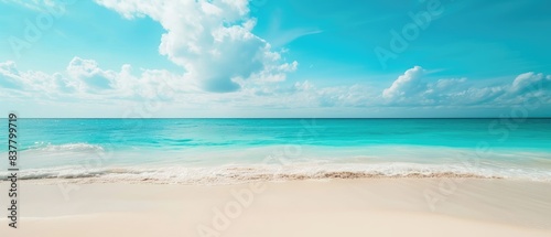 Serene Tropical Beach with Clear Blue Waters