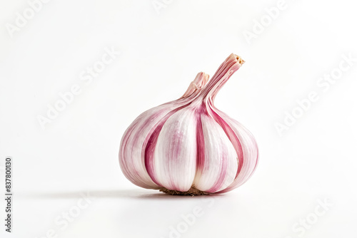 Single bulb of garlic isolated on white photo