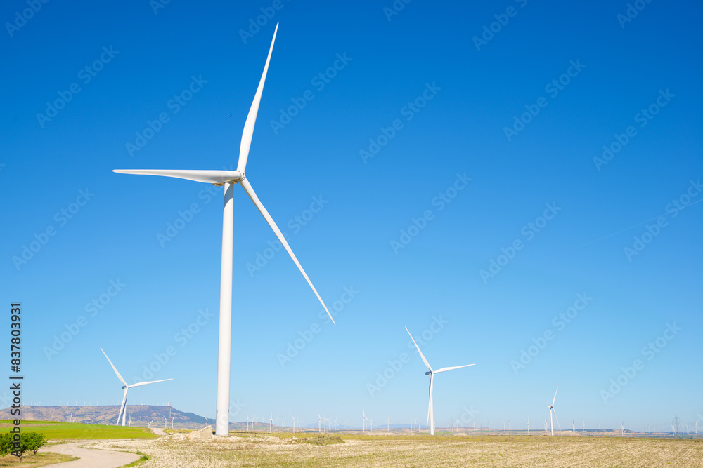 Wind turbine generators for green electricity production Wind turbine generators for green electricity production