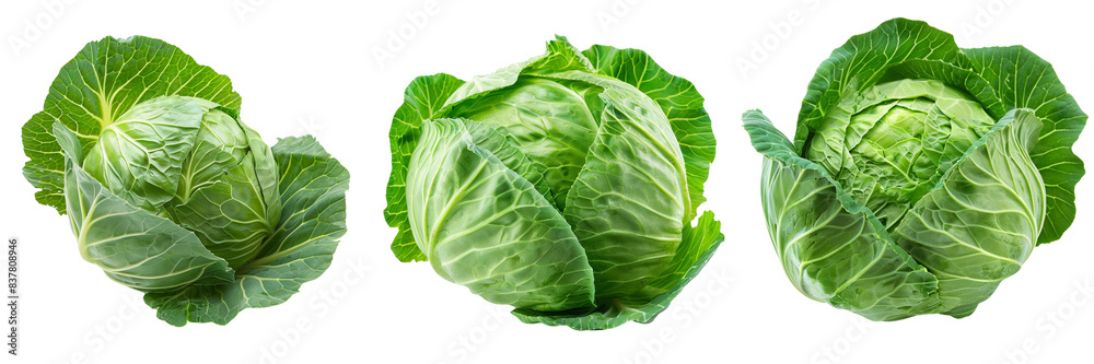 Set of Fresh green cabbage on transparent background Set of Fresh green cabbage on transparent background