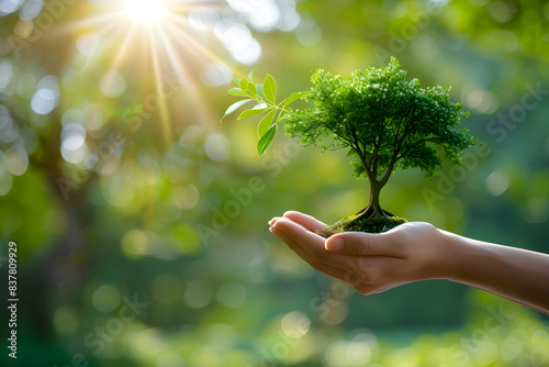 "Nurturing Growth: Hand Holding Big Tree Against Green Background with Sunshine"