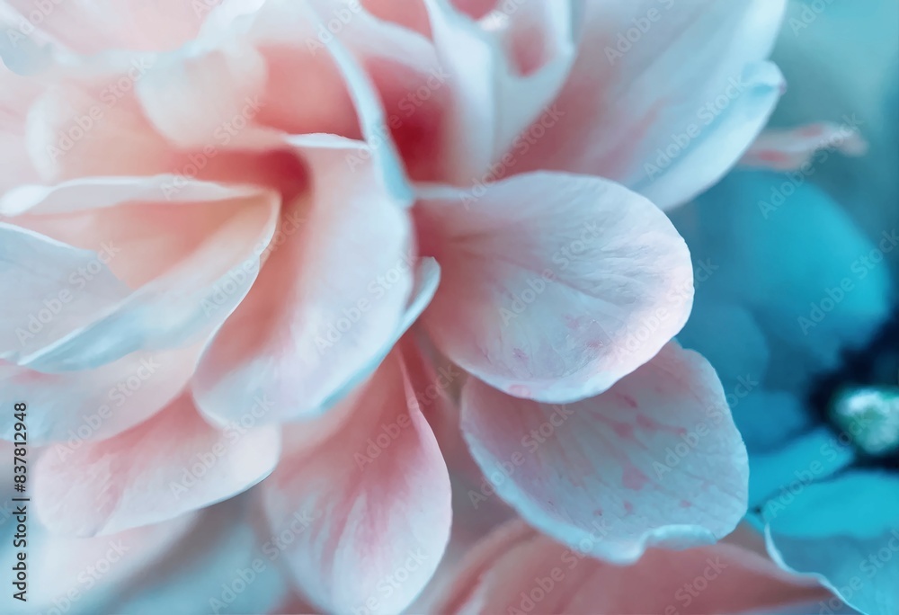A close-up of light pink flower petals with a blue background.
A close-up of light pink flower petals with a blue background.