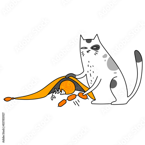 Cat hides things under the rug