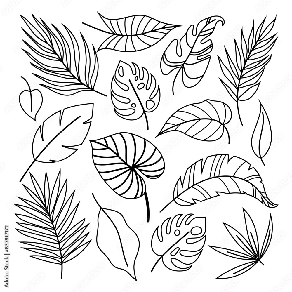 Set of tropical plants in doodle style on a white background. Tropical leaves and plant branches. Hand drawn tropical plants. Set of tropical plants in doodle style on a white background. Tropical leaves and plant branches. Hand drawn tropical plants.