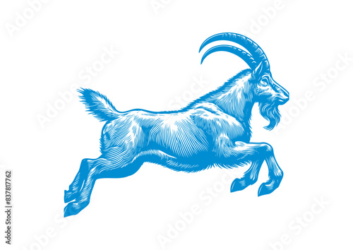 goat vector, transparent background.