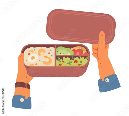 Hands holding bento box with food vector illustration isolated on white. Food container with rice with shrimps, fruits, berries and vegetable salad.