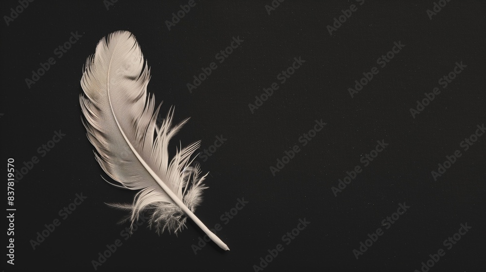 Obraz premium Delicate Feather Floating in Air