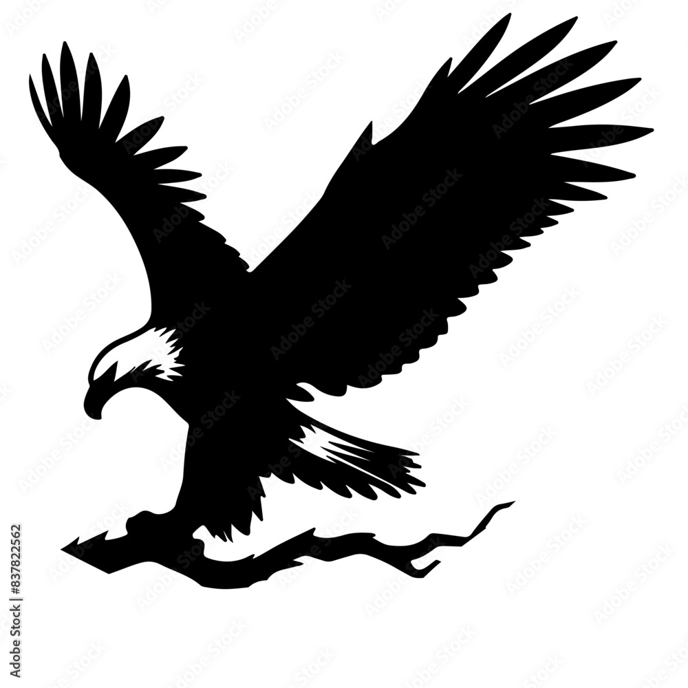 Obraz premium Fish Eagle Shallotte, vector , ilustrtation 