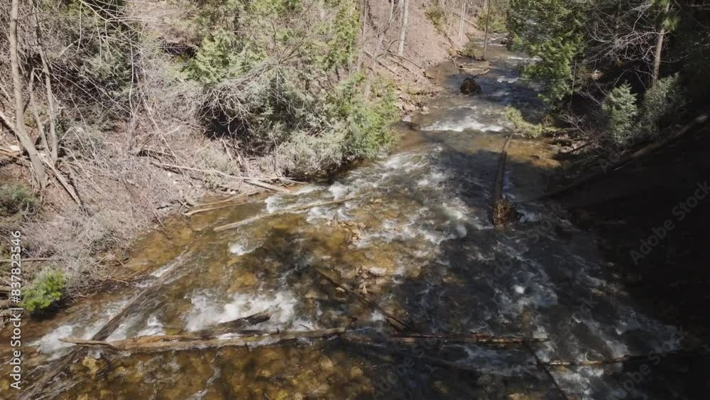 Flowing creek in Owen Sound surrounded by lush trees and rocky terrain, aerial view Flowing creek in Owen Sound surrounded by lush trees and rocky terrain, aerial view