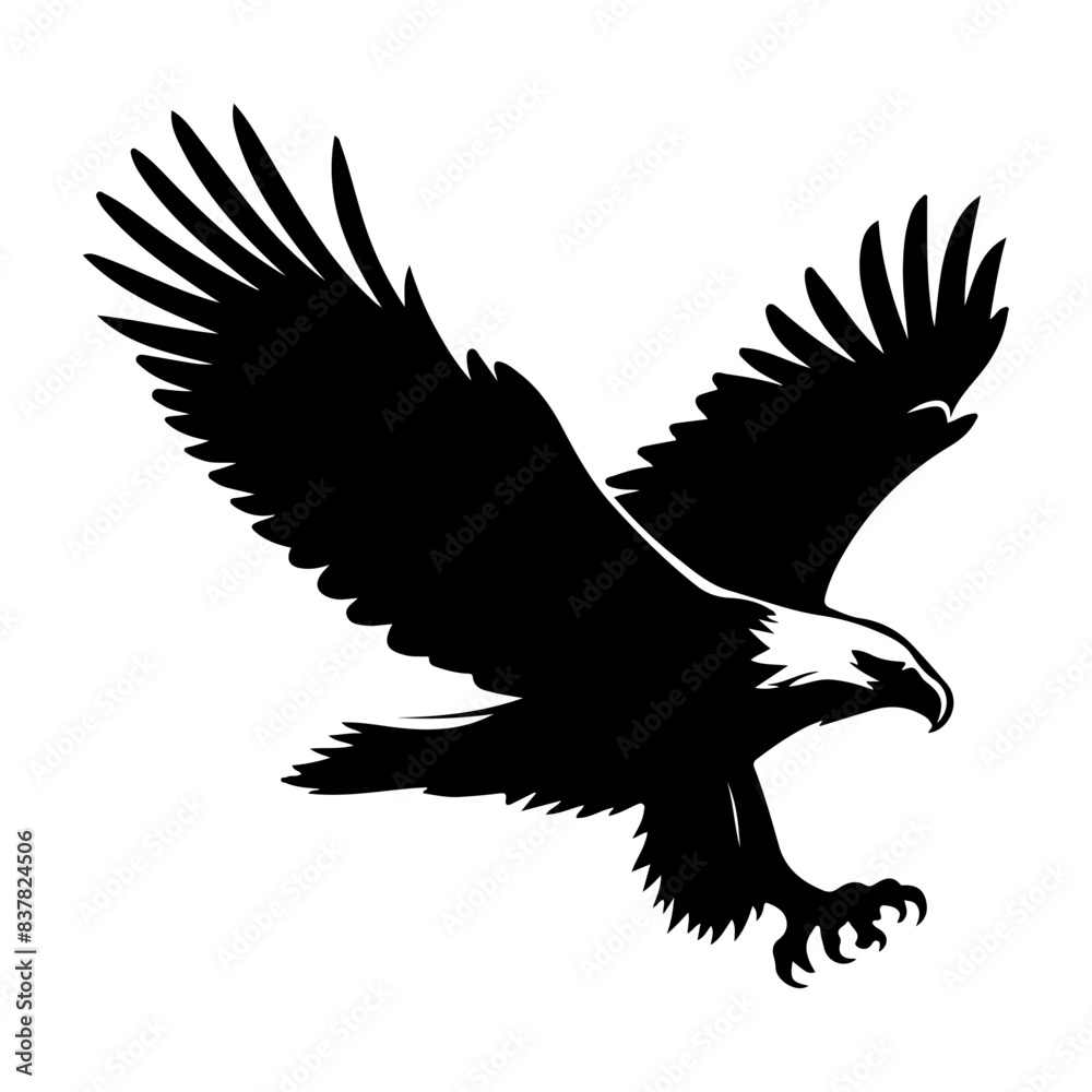 Obraz premium Fish Eagle Shallotte, vector , ilustrtation 