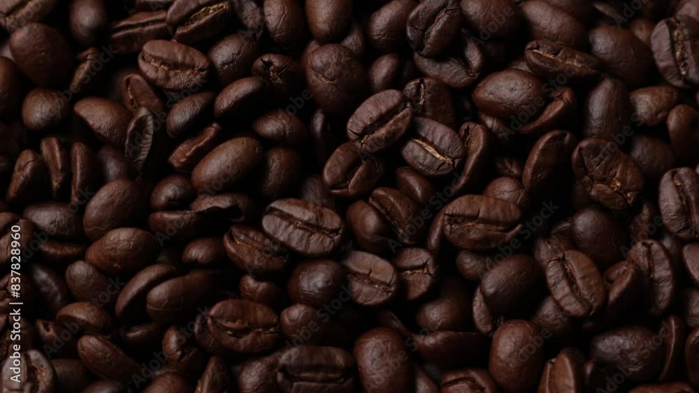 Slow zoom of bean Slow zoom of bean