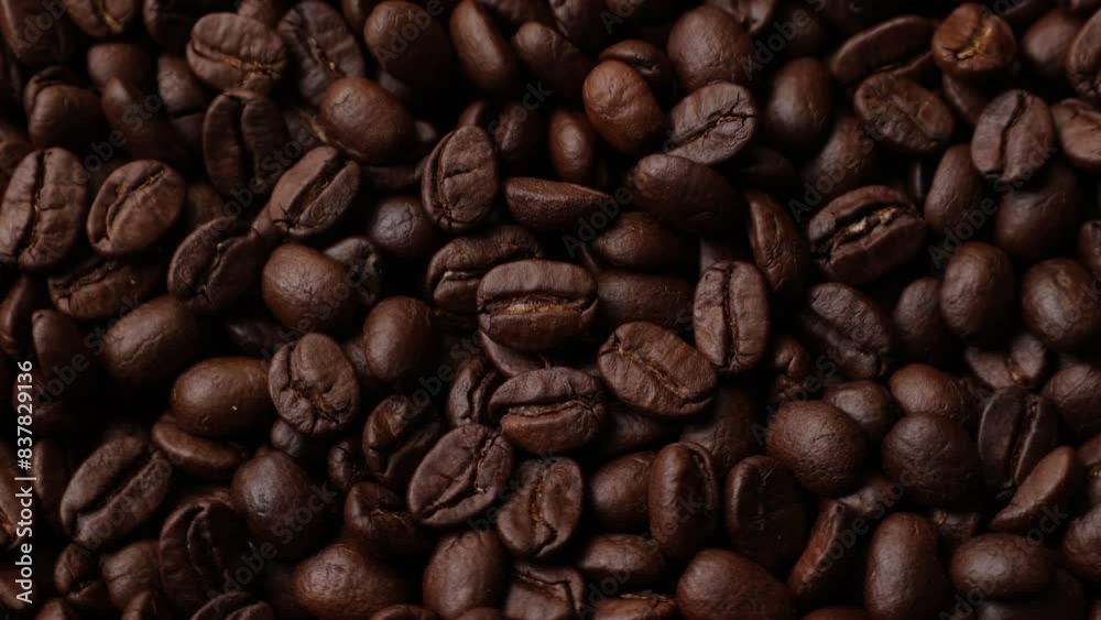 Slow zoom of bean Slow zoom of bean