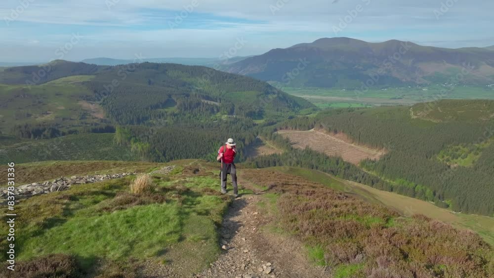 Mountain walker trekking up path and past camera on windy mountainside with view to forested fells and green valley floor behind. Grisedale Pike, Lake District, Cumbria, England, UK Mountain walker trekking up path and past camera on windy mountainside with view to forested fells and green valley floor behind. Grisedale Pike, Lake District, Cumbria, England, UK