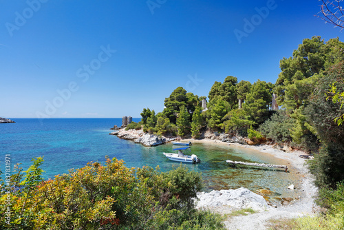 Fototapeta Naklejka Na Ścianę i Meble -  The beach Atsitsa of Skyros, Greece