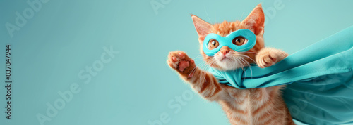 superhero cat with blue cloak and mask, photo