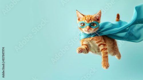 superhero cat with blue cloak and mask, photo