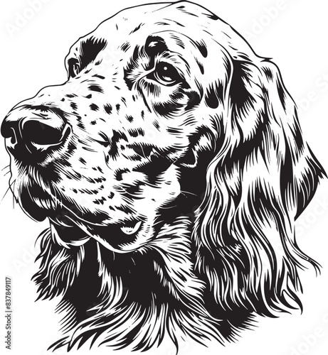 English Setter dog clipart, English Setter black vector