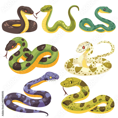 Collection cartoon snakes, variety species, colorful reptiles, friendly snake characters, flat design. Set serpents different patterns, isolated white background, cute snake illustrations. Various