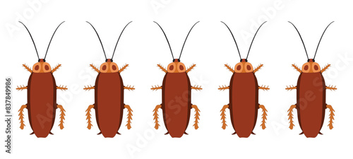 Cockroach for decoration and covering. Concept of insect danger and disinfection.