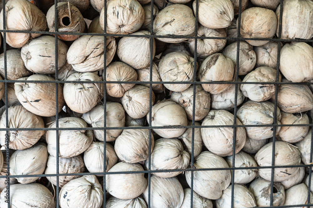 Storehouse of coconuts from the garden,Thailand. Storehouse of coconuts from the garden,Thailand.